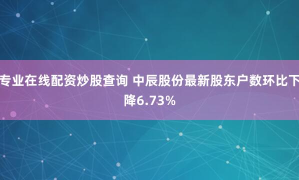 专业在线配资炒股查询 中辰股份最新股东户数环比下降6.73%
